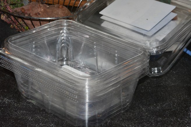 How to reuse Salad Green Clamshells